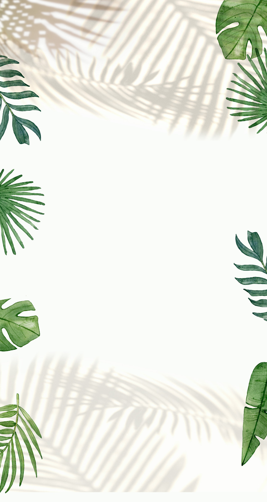 fondo