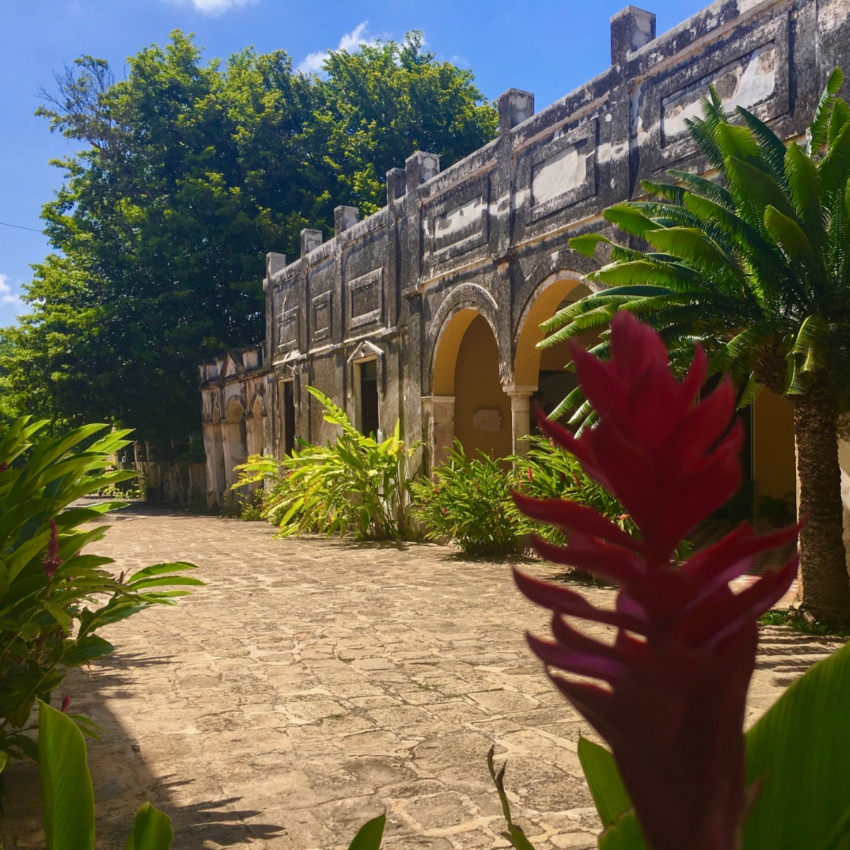 vivemerida