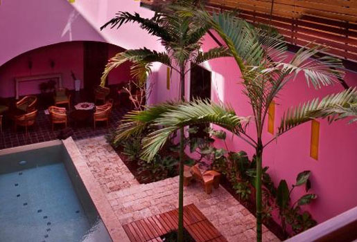 Rosas y Xocolate
